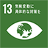 SDG 13